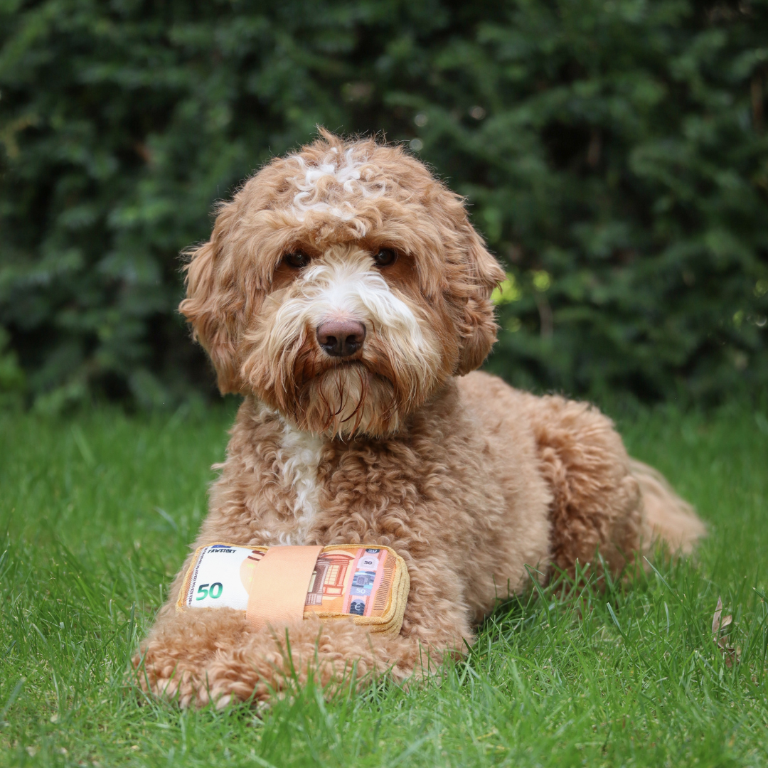 Stacks on Stacks - Plush Squeaky Toy