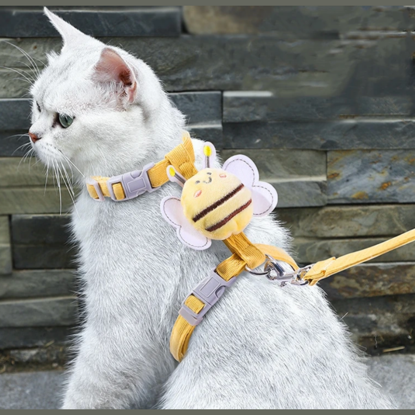 "Bee-utiful” - Cat Harness & Leash Set