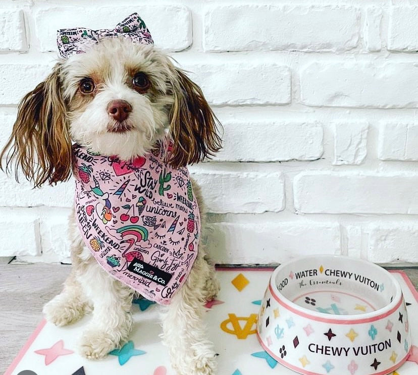 “Chewy Vuiton” - Pet Bowls & Mat Set - White/Pink