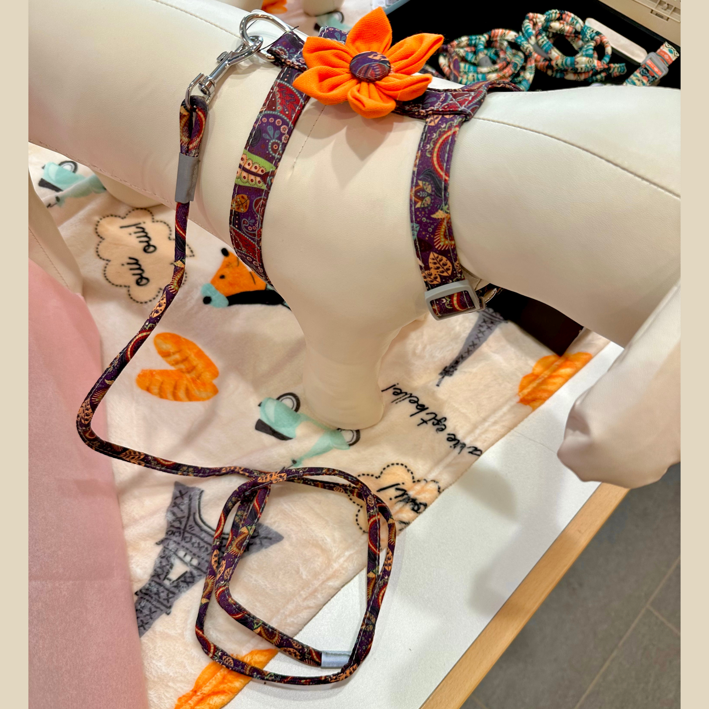 Flower Harness & Leash - Full Set