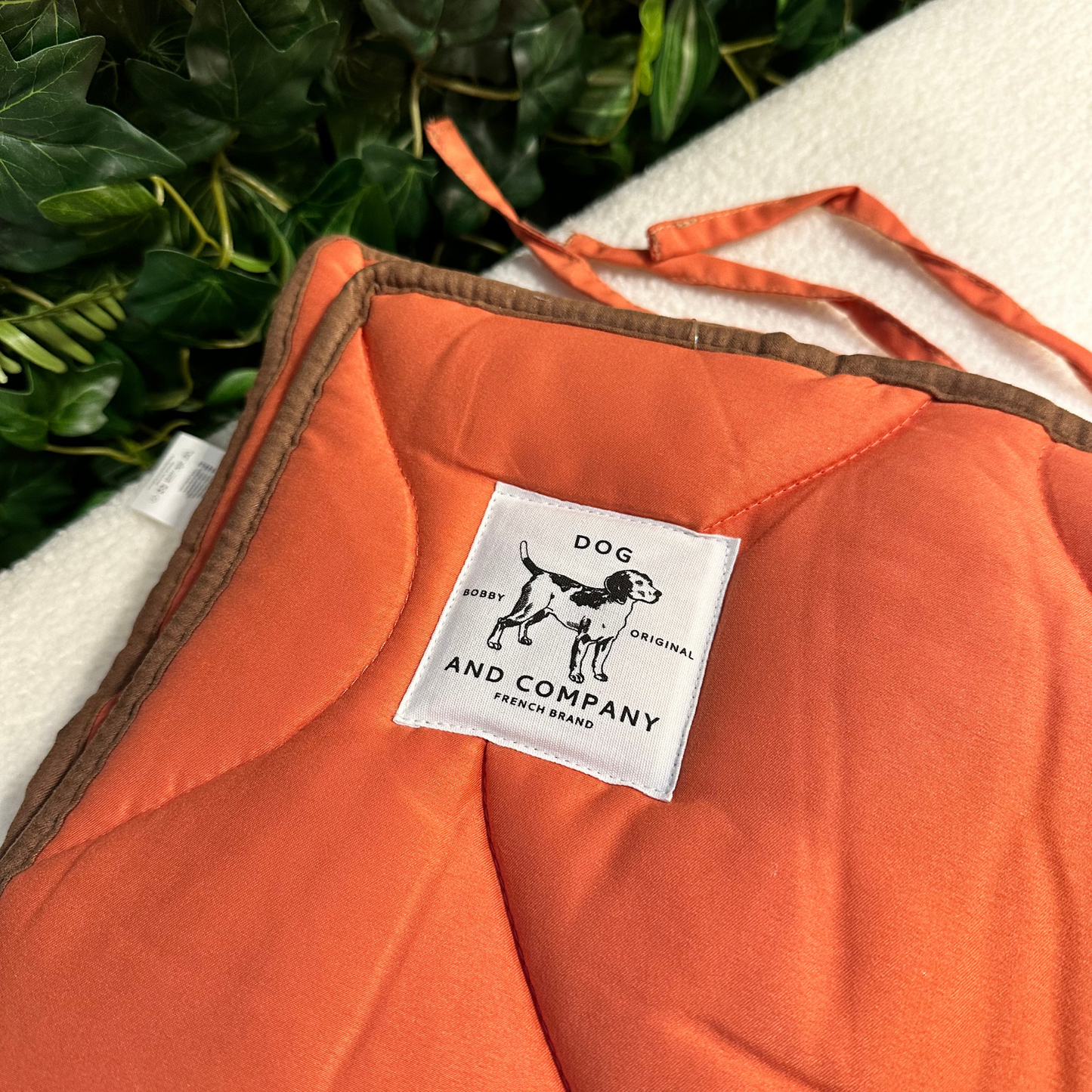 Portable Dog Mat