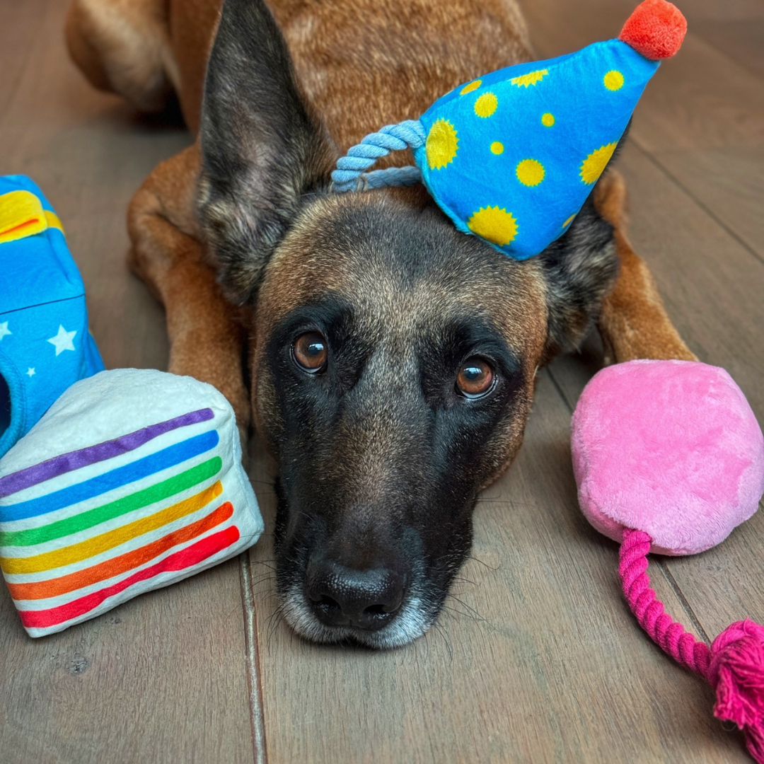 Festive Party Set - Plush Squeaky Toy