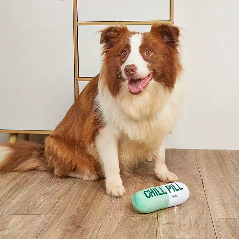 Chill Pill - Plush Dog Toy