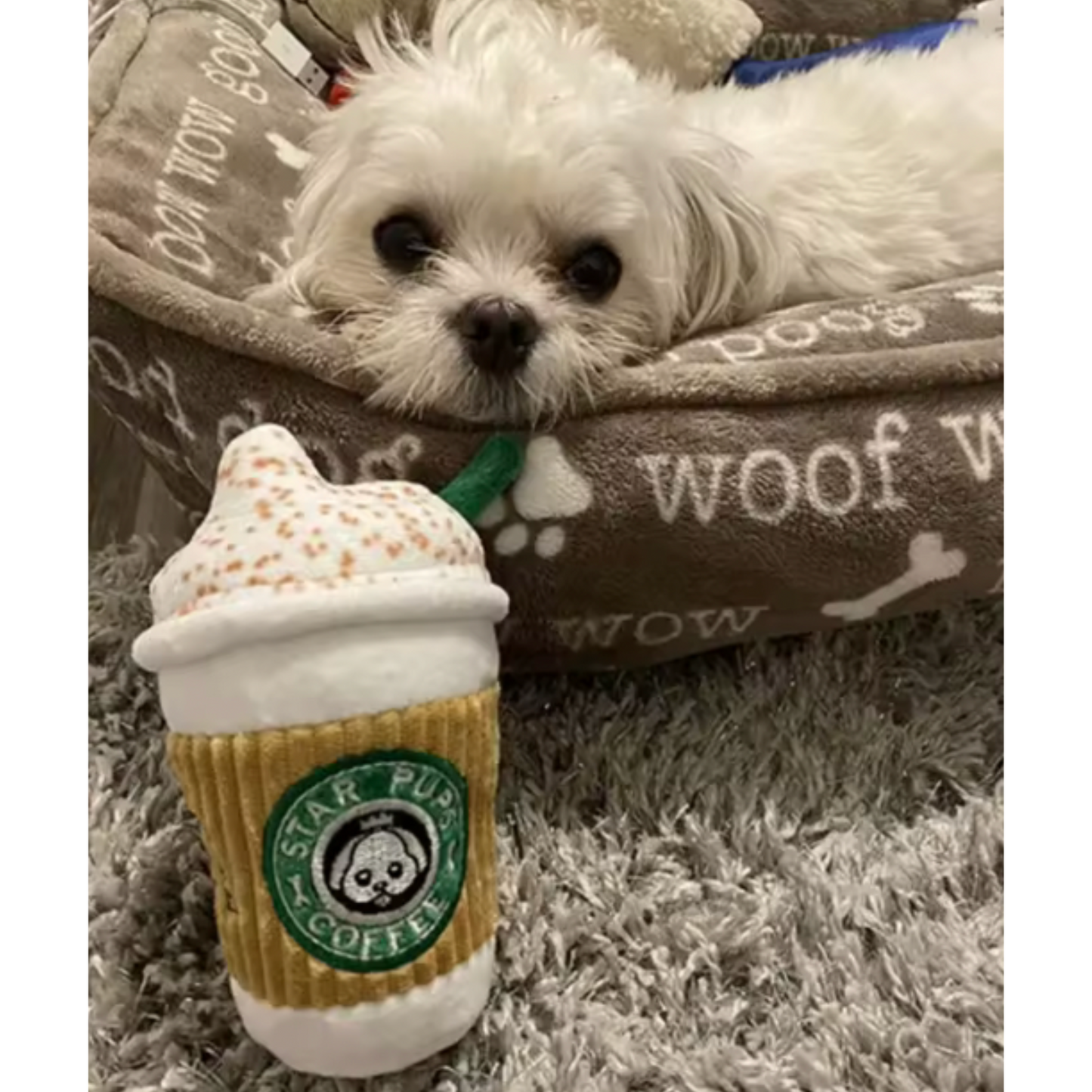 "Starpups Coffee" - Plush Squeaky Toy