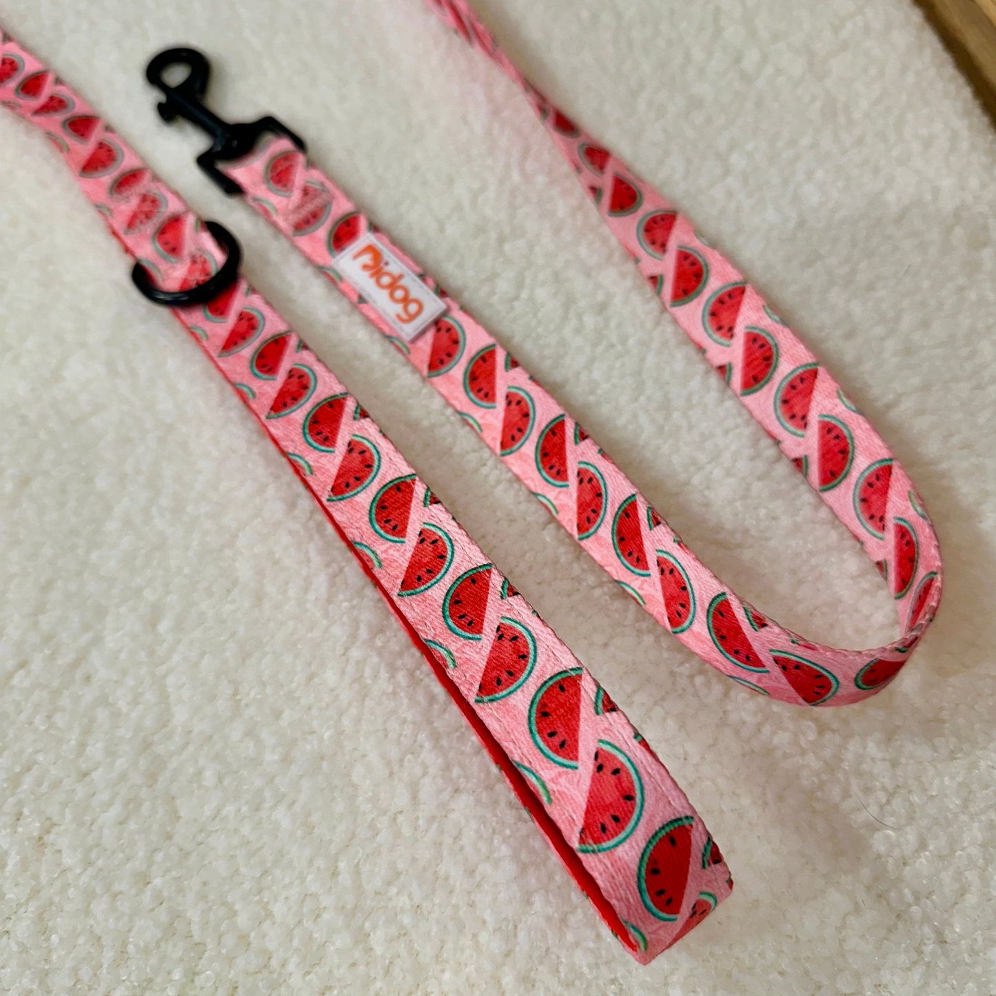 Watermelon Print - Leash