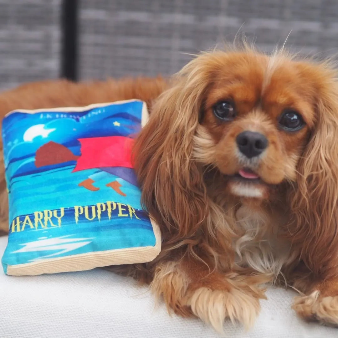 “Harry Pupper” - Plush Squeaky Toy