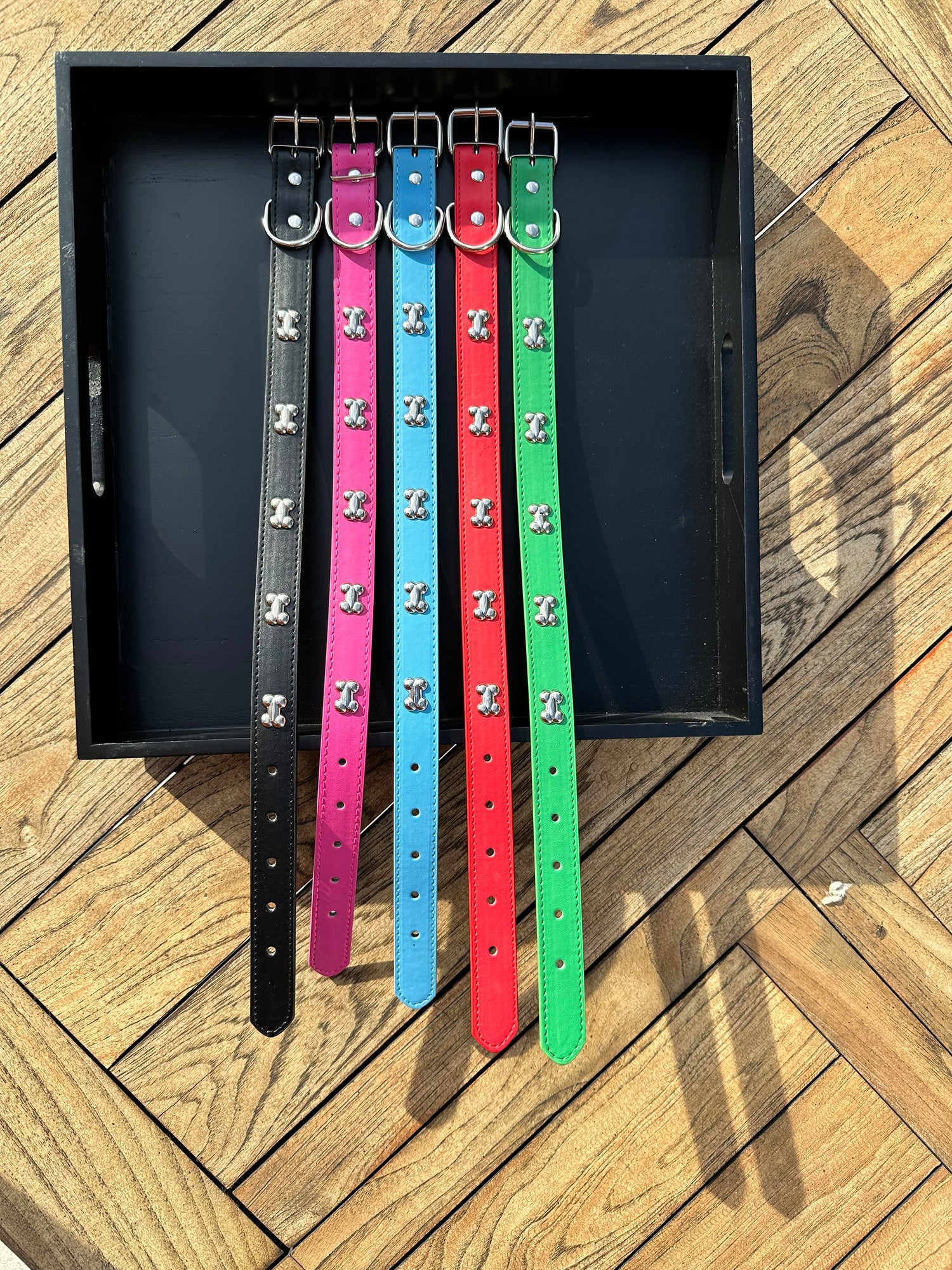 Collars & Leashes