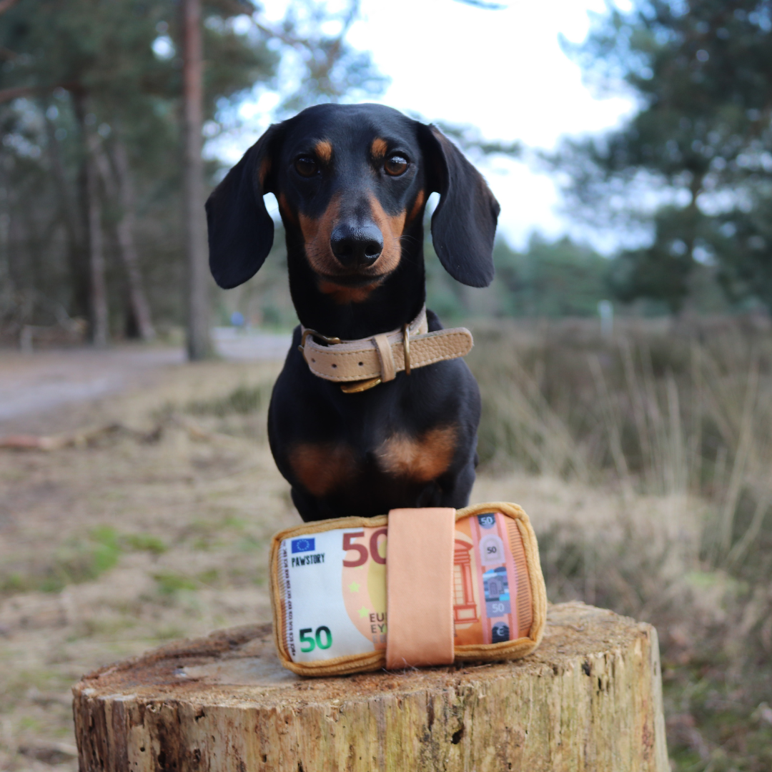 Stacks on Stacks - Plush Squeaky Toy