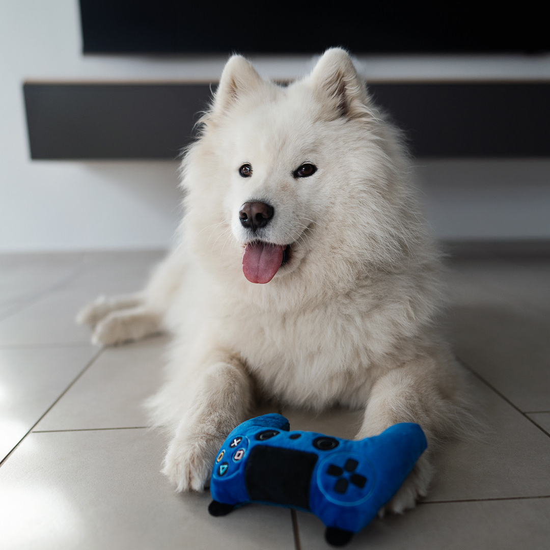 “Paw Troller” - Plush Squeaky Toy