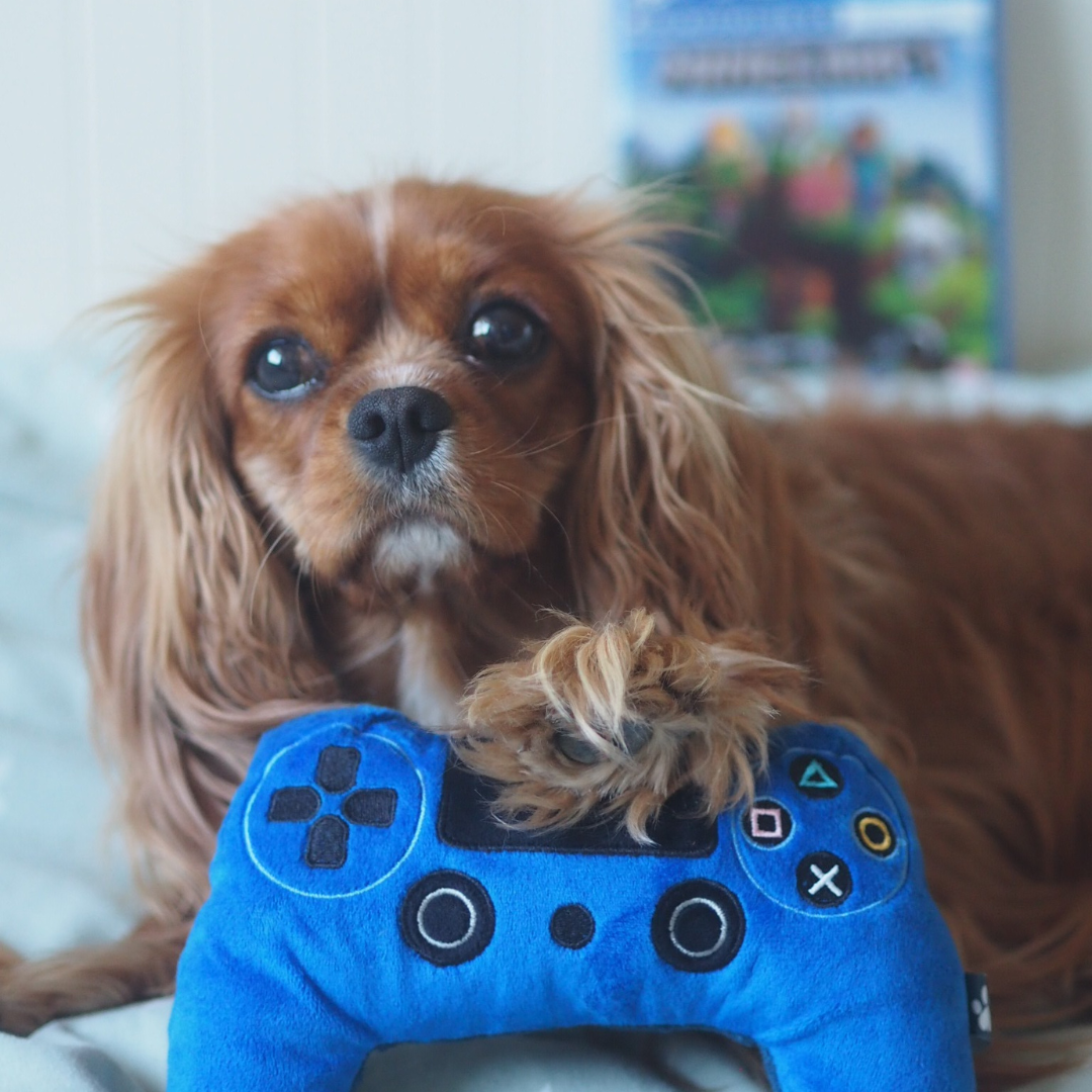 “Paw Troller” - Plush Squeaky Toy