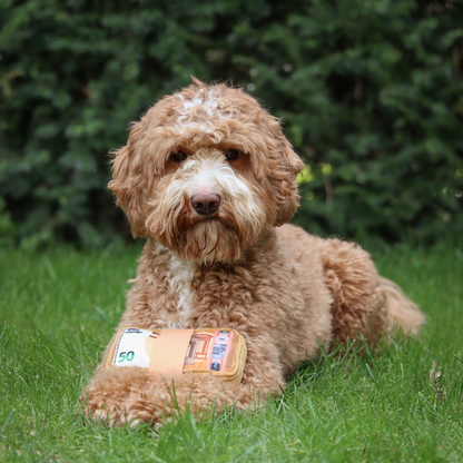Stacks on Stacks - Plush Squeaky Toy