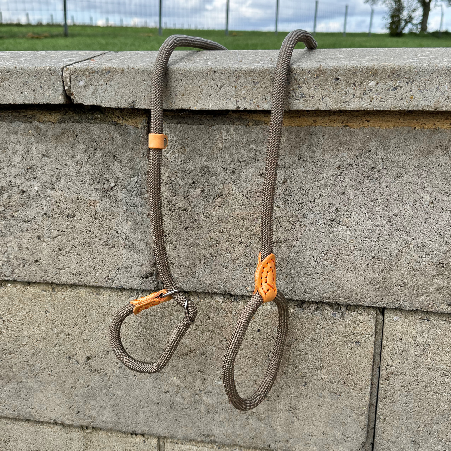 Adjustable Rope Collar/Leash Combo