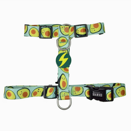 Avocado Print - Harness