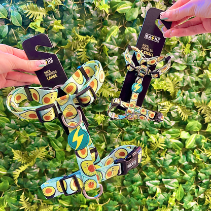 Avocado Print - Harness