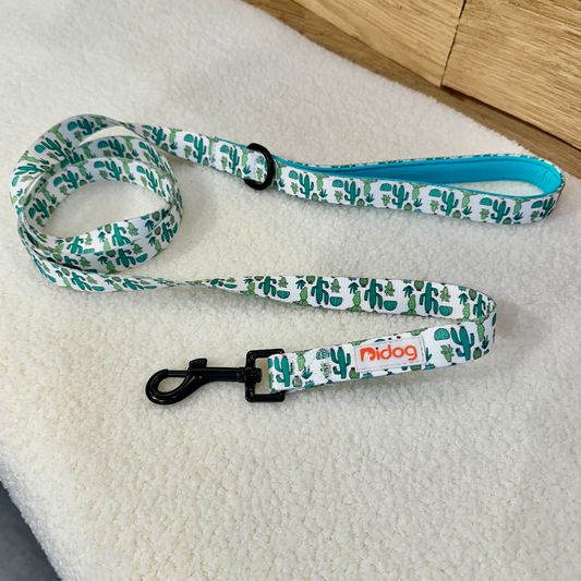 Cactus Print - Leash
