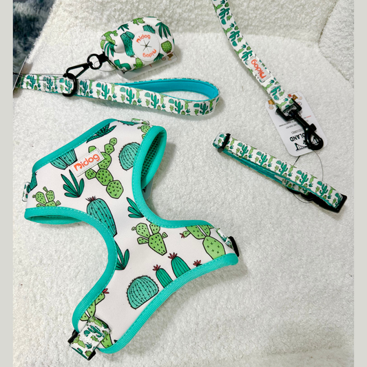 Cactus Print - Full Set