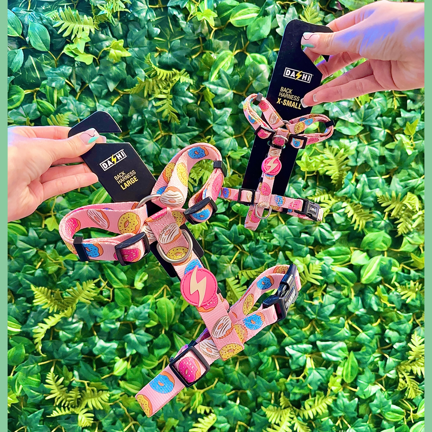 Donut Print - Harness