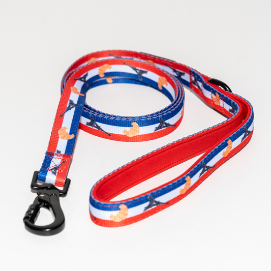 “Vive la France!” - Leash