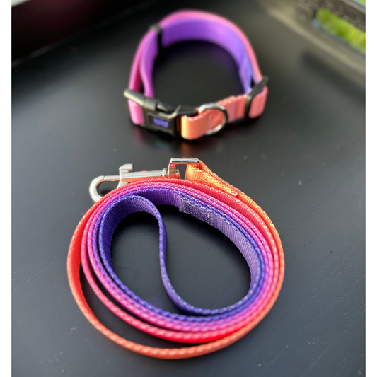Gradient Color - Full Set