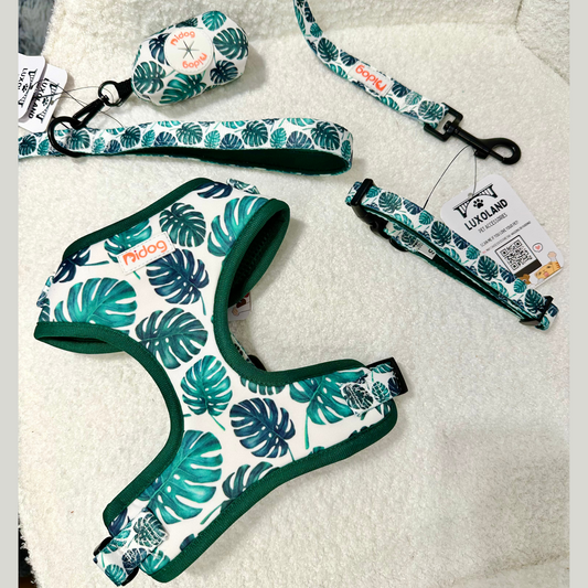 Jungle Leaves Print - Full Set