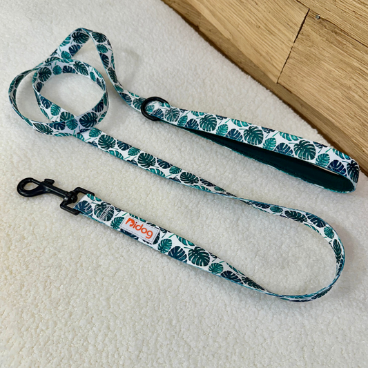 Jungle Leaves Print - Leash