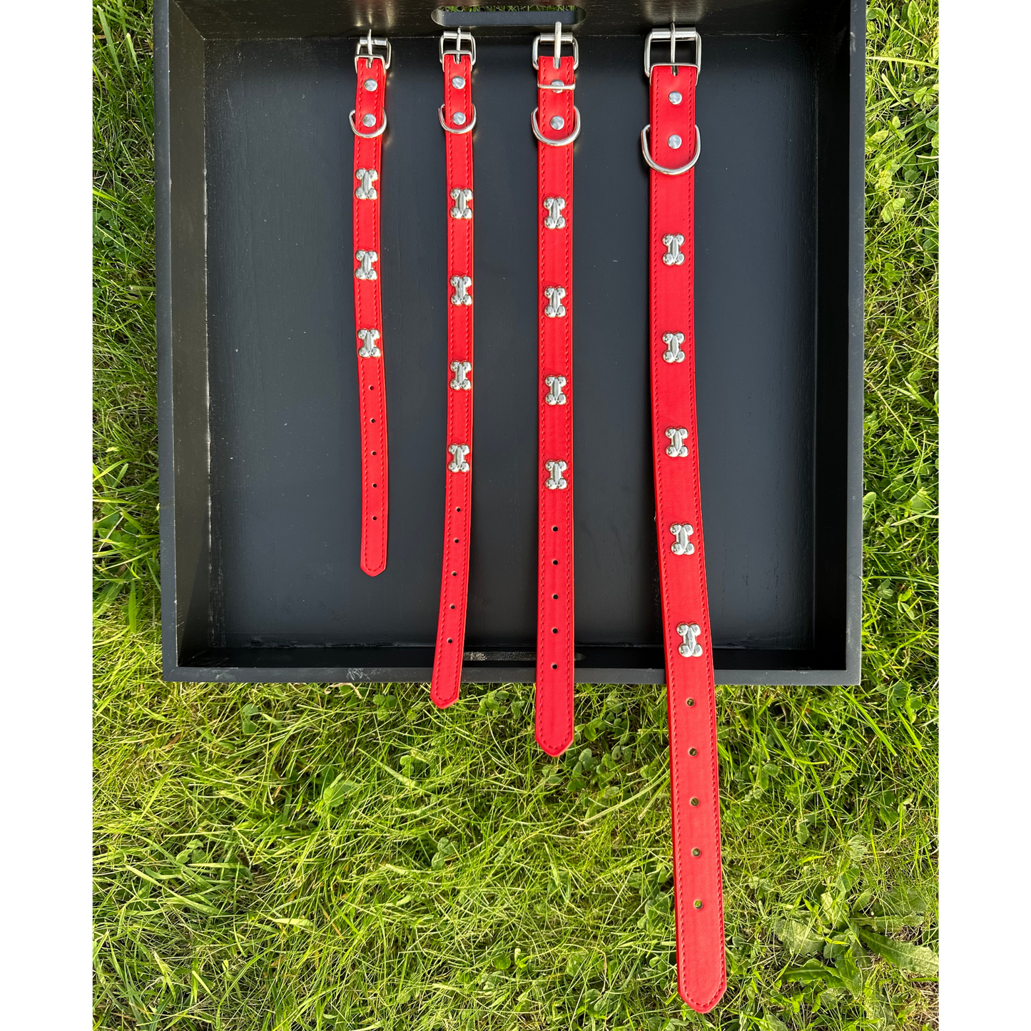 “BoneLuxe" Leather Collar