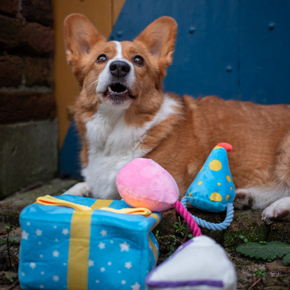 Festive Party Set - Plush Squeaky Toy