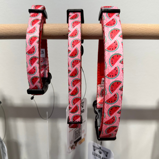 Watermelon Print Collar