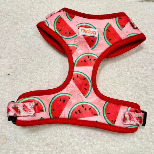 Watermelon Print - Harness