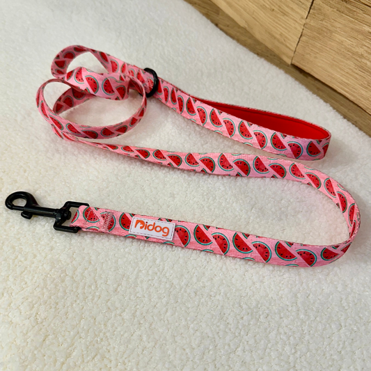 Watermelon Print - Leash