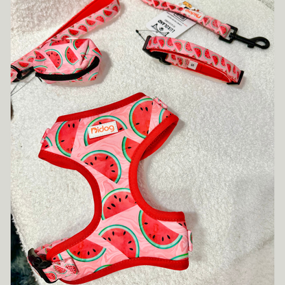 Watermelon Print - Full Set
