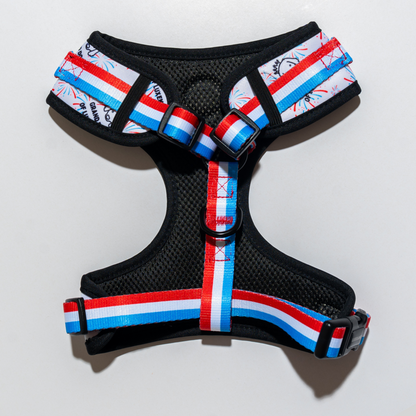 “Grand Doggy of Luxembourg” - COMPLETE SET