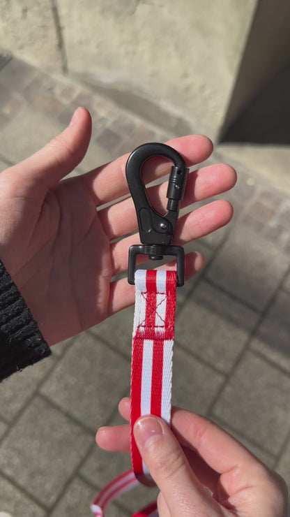 “‘Merica!" - Leash