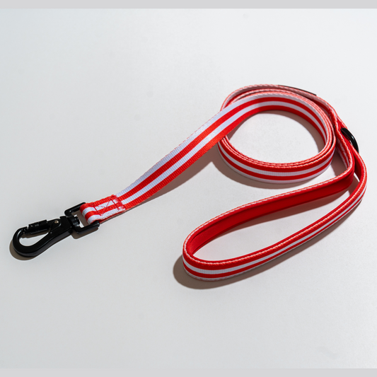 “‘Merica!" - Leash