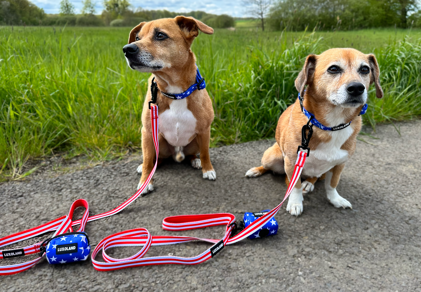“‘Merica!" - Leash